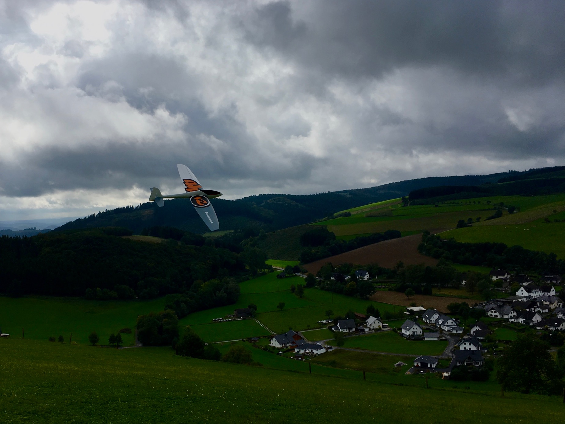 SANSI AHI [RTF] - SOLD! 18