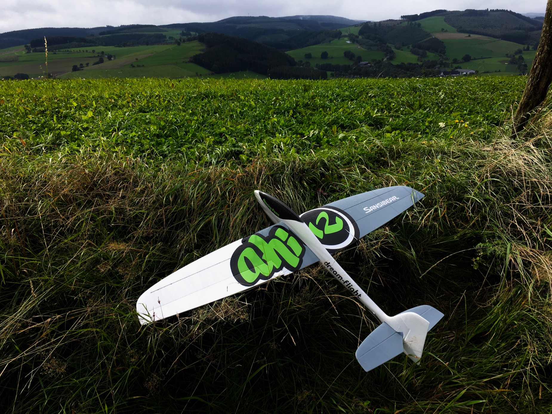 SANSI AHI [RTF] - SOLD! 5