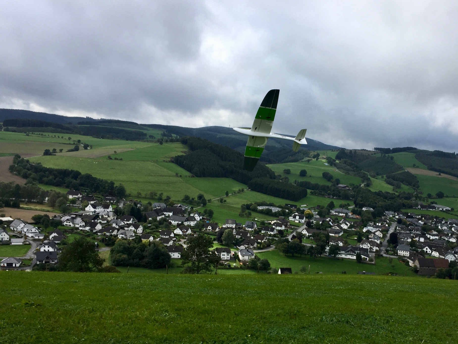 SANSI AHI [RTF] - SOLD! 22