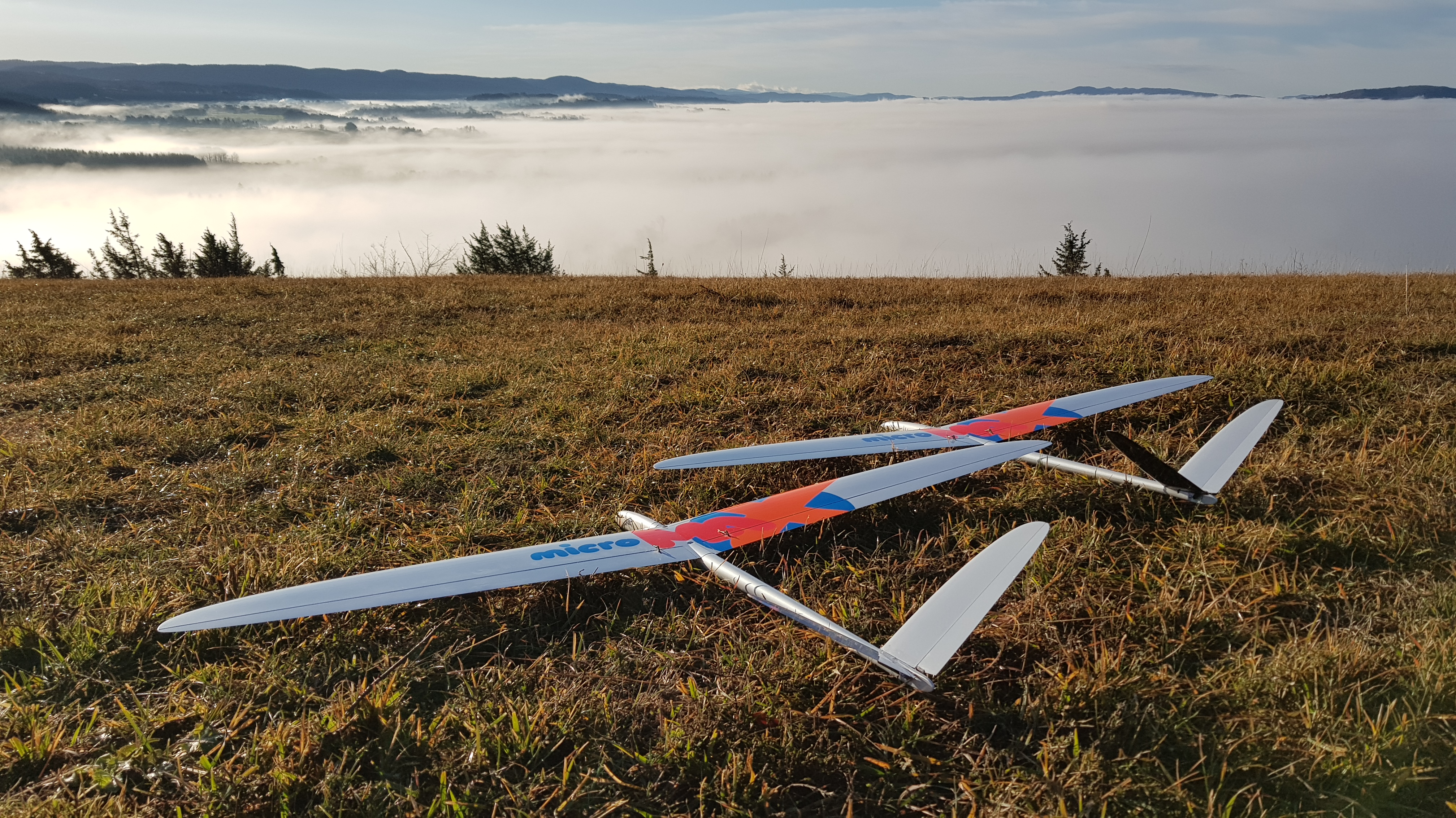 microMAX - Regular - [ARF/RTF] 12