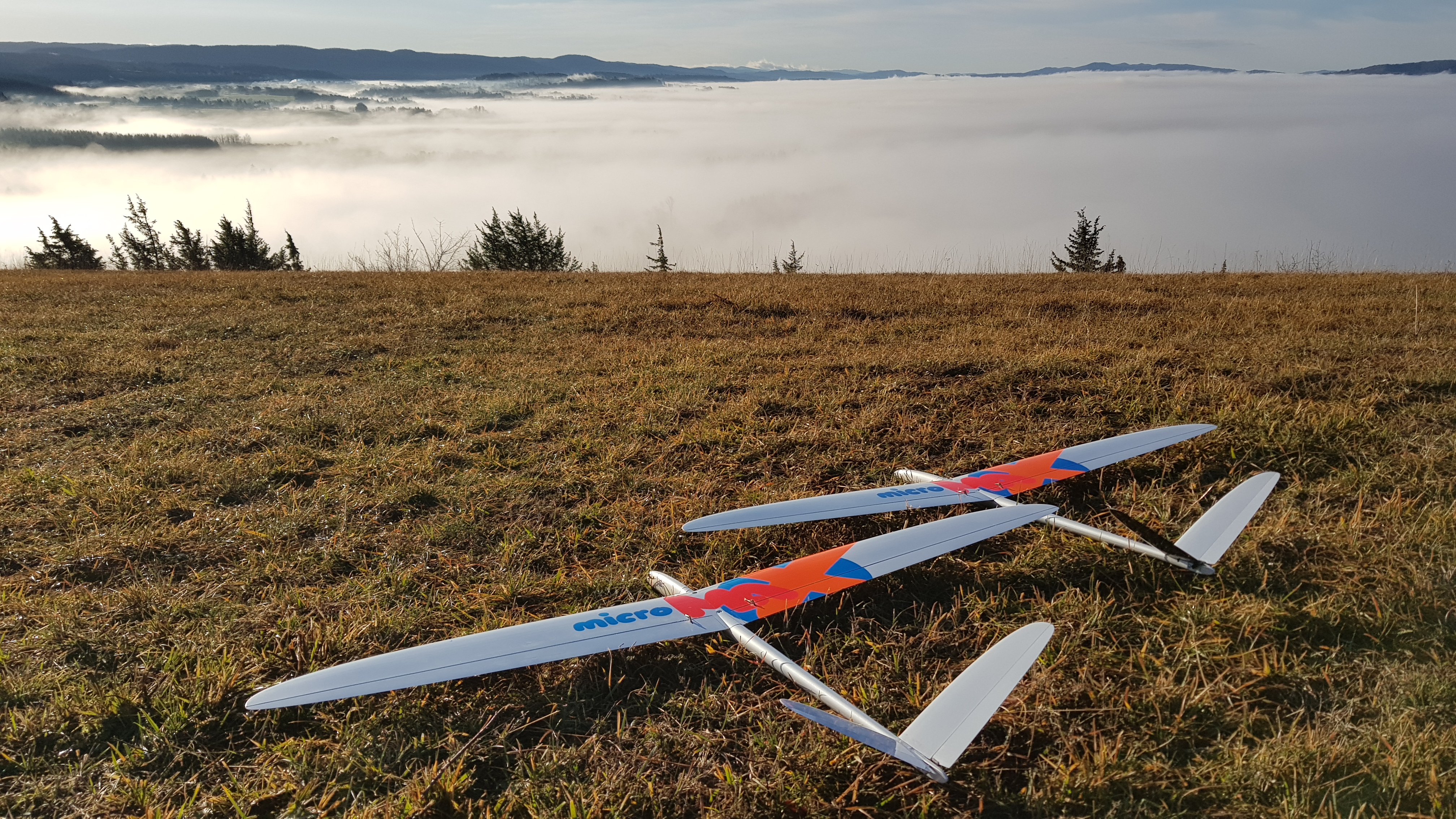 microMAX - Regular - [ARF/RTF] 13