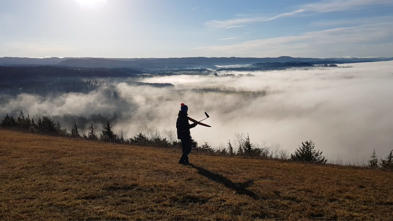 microMAX - Regular - [ARF/RTF] 19